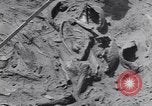 Image of Native American Indian bones found in Monument Valley Utah United States USA, 1937, second 31 stock footage video 65675075285