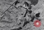 Image of Native American Indian bones found in Monument Valley Utah United States USA, 1937, second 32 stock footage video 65675075285
