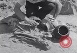 Image of Native American Indian bones found in Monument Valley Utah United States USA, 1937, second 58 stock footage video 65675075285