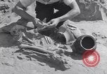 Image of Native American Indian bones found in Monument Valley Utah United States USA, 1937, second 59 stock footage video 65675075285