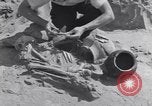 Image of Native American Indian bones found in Monument Valley Utah United States USA, 1937, second 60 stock footage video 65675075285