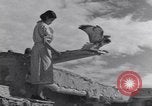Standbild Hopi Native American Indian woman Utah United States USA, 1937, aus Sekunde 51 historischem Filmmaterial Videoclip 65675075288