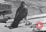 Standbild Hopi Native American Indian woman Utah United States USA, 1937, aus Sekunde 62 historischem Filmmaterial Videoclip 65675075288
