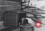 Standbild American-Indian Kinder United States USA, 1933, aus Sekunde 52 historischem Filmmaterial Videoclip 65675075292
