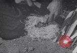 Image of Native American Indian Boy Scouts demonstrate skills United States USA, 1933, second 22 stock footage video 65675075295