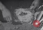 Image of Native American Indian Boy Scouts demonstrate skills United States USA, 1933, second 23 stock footage video 65675075295