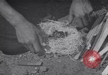 Image of Native American Indian Boy Scouts demonstrate skills United States USA, 1933, second 24 stock footage video 65675075295