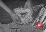 Image of Native American Indian Boy Scouts demonstrate skills United States USA, 1933, second 25 stock footage video 65675075295