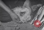 Image of Native American Indian Boy Scouts demonstrate skills United States USA, 1933, second 26 stock footage video 65675075295