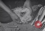 Image of Native American Indian Boy Scouts demonstrate skills United States USA, 1933, second 28 stock footage video 65675075295