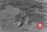 Image of Native American Indian Boy Scouts demonstrate skills United States USA, 1933, second 49 stock footage video 65675075295