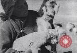 Image of Native American Indian children work and play United States USA, 1933, second 20 stock footage video 65675075296