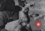 Image of Native American Indian children work and play United States USA, 1933, second 21 stock footage video 65675075296