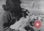 Image of Native American Indian children work and play United States USA, 1933, second 25 stock footage video 65675075296
