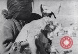 Image of Native American Indian children work and play United States USA, 1933, second 26 stock footage video 65675075296