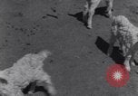 Image of Native American Indian children work and play United States USA, 1933, second 28 stock footage video 65675075296