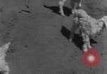 Image of Native American Indian children work and play United States USA, 1933, second 29 stock footage video 65675075296