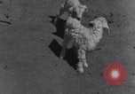 Image of Native American Indian children work and play United States USA, 1933, second 30 stock footage video 65675075296