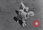 Image of Native American Indian children work and play United States USA, 1933, second 31 stock footage video 65675075296