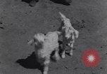 Image of Native American Indian children work and play United States USA, 1933, second 33 stock footage video 65675075296