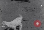 Image of Native American Indian children work and play United States USA, 1933, second 35 stock footage video 65675075296
