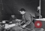 Standbild Evakuierung Krankenhaus europäische Theater, 1945, aus Sekunde 41 historischem Filmmaterial Videoclip 65675075313