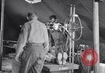 Standbild Evakuierung Krankenhaus europäische Theater, 1945, aus Sekunde 11 historischem Filmmaterial Videoclip 65675075314