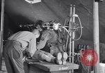Standbild Evakuierung Krankenhaus europäische Theater, 1945, aus Sekunde 15 historischem Filmmaterial Videoclip 65675075314