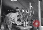 Standbild Evakuierung Krankenhaus europäische Theater, 1945, aus Sekunde 16 historischem Filmmaterial Videoclip 65675075314