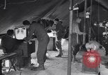 Standbild Evakuierung Krankenhaus europäische Theater, 1945, aus Sekunde 19 historischem Filmmaterial Videoclip 65675075314