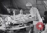 Standbild Evakuierung Krankenhaus europäische Theater, 1945, aus Sekunde 6 historischem Filmmaterial Videoclip 65675075315