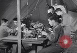 Standbild Evakuierung Krankenhaus europäische Theater, 1945, aus Sekunde 18 historischem Filmmaterial Videoclip 65675075316