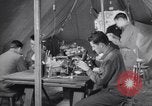 Standbild Evakuierung Krankenhaus europäische Theater, 1945, aus Sekunde 22 historischem Filmmaterial Videoclip 65675075316