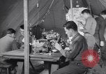 Standbild Evakuierung Krankenhaus europäische Theater, 1945, aus Sekunde 23 historischem Filmmaterial Videoclip 65675075316