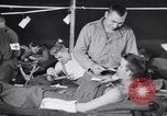 Standbild Evakuierung Krankenhaus europäische Theater, 1945, aus Sekunde 32 historischem Filmmaterial Videoclip 65675075317