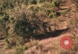 Immagine di Vedute aeree Il Vietnam, 1962, secondo 24 filmato di repertorio 65675075335
