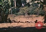 Image vietnamiens de la défense civile hommes Buen Eane Vietnam, 1962, de la seconde 56 séquences d'archives historiques vidéo 65675075337