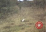 Image of T-28D Trojan airplanes Vietnam, 1962, second 20 stock footage video 65675075344