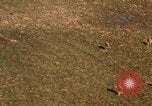 Image of O-1 Bird Dog aircraft Vietnam, 1962, second 40 stock footage video 65675075348