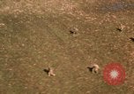 Image of O-1 Bird Dog aircraft Vietnam, 1962, second 41 stock footage video 65675075348