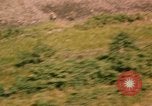 Image of O-1 Bird Dog aircraft Vietnam, 1962, second 49 stock footage video 65675075348