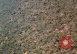 Image of bomb explosions Vietnam, 1962, second 11 stock footage video 65675075357