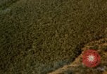 Image of bomb explosions Vietnam, 1962, second 43 stock footage video 65675075357