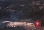 Immagine di Attentati dinamitardi Il Vietnam, 1962, secondo 46 filmato di repertorio 65675075358
