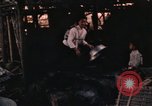 Immagine di Popolo vietnamita Canzone Mao Vietnam, 1962, secondo 24 filmato di repertorio 65675075383