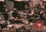 Standbild verbrannte Fläche Song Mao Vietnam, 1962, aus Sekunde 24 historischem Filmmaterial Videoclip 65675075387