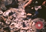 Standbild verbrannte Fläche Song Mao Vietnam, 1962, aus Sekunde 28 historischem Filmmaterial Videoclip 65675075387