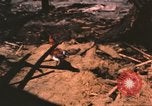 Standbild verbrannte Fläche Song Mao Vietnam, 1962, aus Sekunde 52 historischem Filmmaterial Videoclip 65675075387