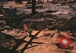 Standbild verbrannte Fläche Song Mao Vietnam, 1962, aus Sekunde 53 historischem Filmmaterial Videoclip 65675075387