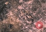 Standbild verbrannte Fläche Song Mao Vietnam, 1962, aus Sekunde 17 historischem Filmmaterial Videoclip 65675075388